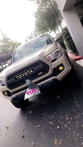 Tacoma TRD Pro Grille (2016-2022) - Customer Photo From Home L.