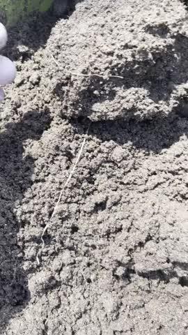 Soil³ Humus Compost in a BigYellowBag - Customer Photo From Krystle Solomon
