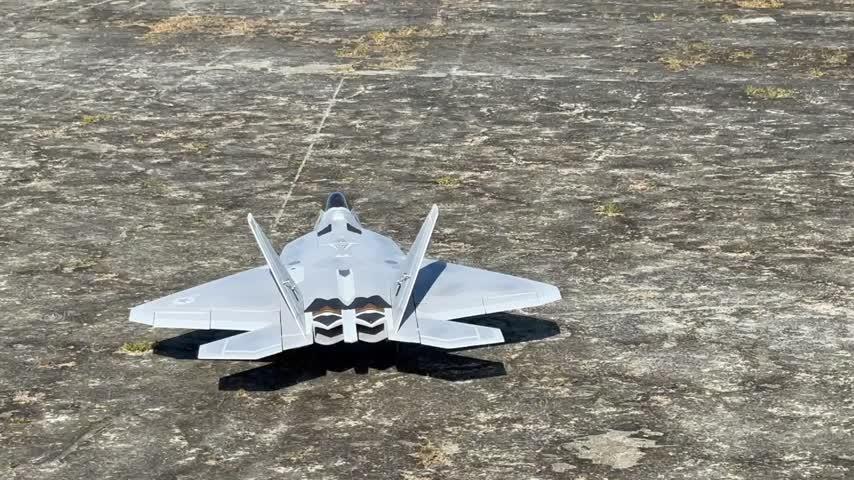 Freewing Tail Flame Afterburner LED Lights for Select 80/90mm Freewing EDF Jets - Customer Photo From Rex Charlesworth