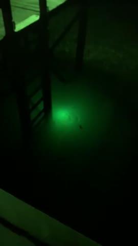Green Blob Underwater Fishing Light for Docks 7500 Lumen, 110 volts with 30ft Cord - Customer Photo From Roger Whatley