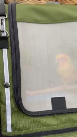 Pak-o-Bird Small Size - Customer Photo From Suzanne Bauer