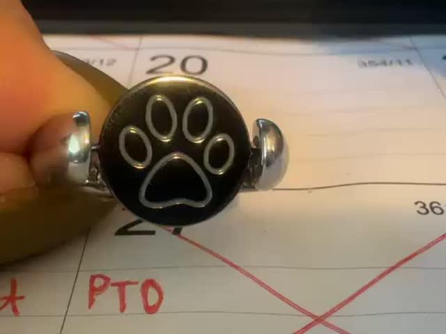 CONQUERing Paw Symbol Spinner - Customer Photo From Lily R.