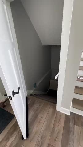 Door Buddy® Cat Door Prop - Customer Photo From Ben