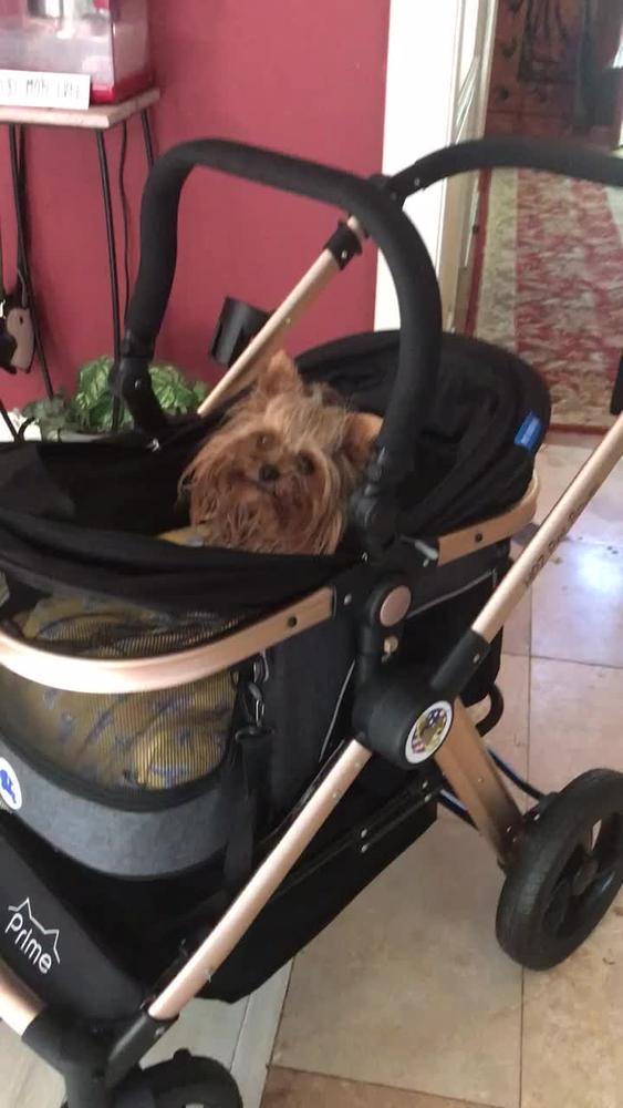 HPZ™ Pet Rover Prime Luxury 3-In-1 Stroller For Dogs & Cats