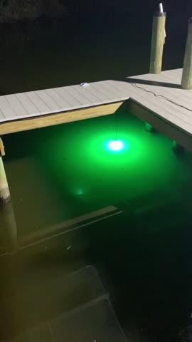 Green Blob Outdoors Underwater Fishing Light 15000 Lumen with Alligator Clips and Cigarette Lighter adapter with 30ft Cord - Customer Photo From Toni Snow