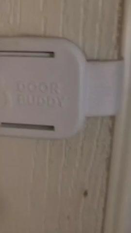 Door Buddy® Cat Door Prop - Customer Photo From Brittni Hurley