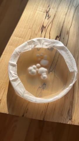Pre-Poured Sterile Agar Plates for Mushroom Cultures - Customer Photo From Matthew Mychack