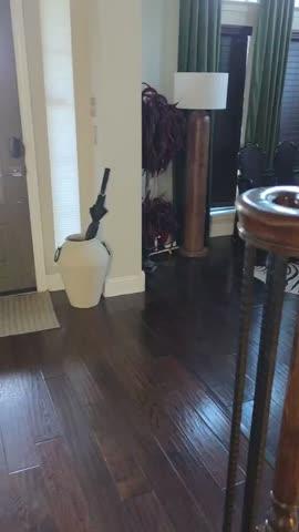 Zebra Safari Cowhide Rug - Customer Video From Naja Hall
