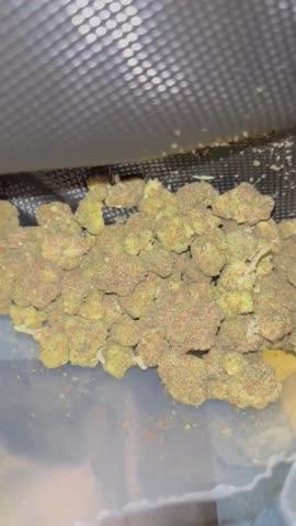 Amaretto Mintz - 28 grams - Customer Photo From Ashley James