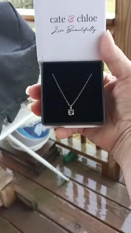 Araylia "Strong" 18k White Gold Plated Necklace with Solitaire Round Cut Swarovski Crystal - Customer Photo From Sue D.