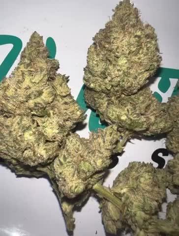 Baby Yoda - AAAA - 112G - Customer Photo From Moe Haneda