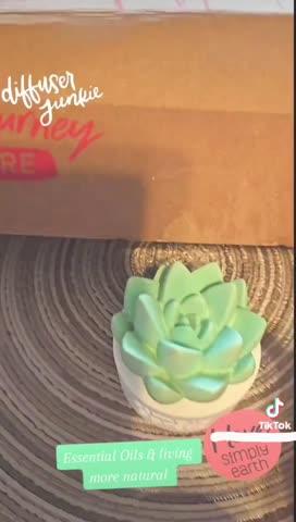 Simply Earth | Succulent Essential Oil Diffuser