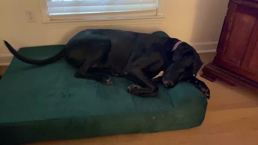 Covers - Customer Photo From Pam Mangum