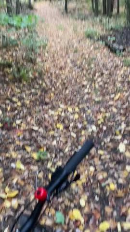 2021 Polygon Xtrada 5 - Limited Edition- 27.5 inch Medium Only - Customer Photo From Stephen Becker