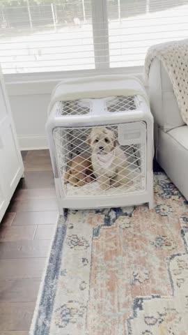 Refurbished Revol Dog Crate - Customer Photo From Tamara Jones