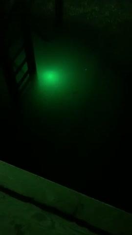 Green Blob Underwater Fishing Light for Docks 7500 Lumen, 110 volts with 30ft Cord - Customer Photo From Roger Whatley
