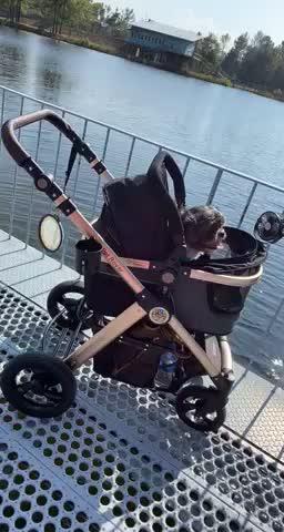 HPZ™ Pet Rover Prime Luxury 3-In-1 Stroller For Dogs & Cats