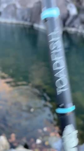 toadfish rods for sale