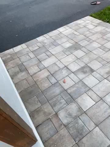 DOMINATOR LG+ - Low Gloss Paver Sealer (Wet Look) - Customer Photo From Lauraine Morehouse