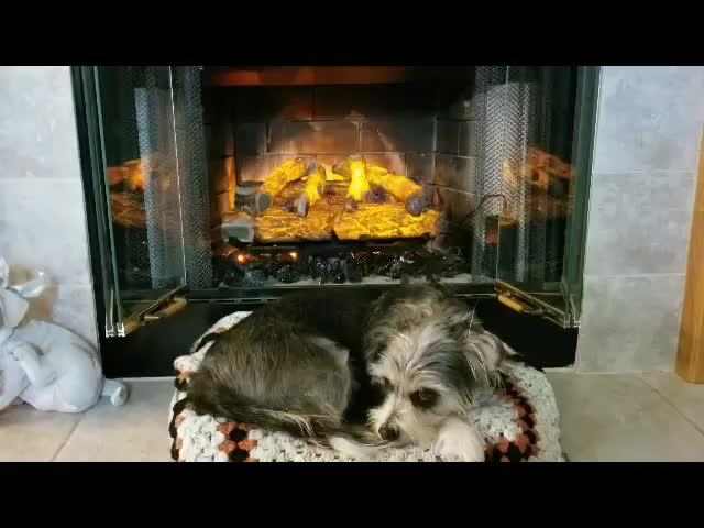 Modern Flames Sunset Charred Oak Smart 