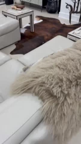 Cowhide Rug Tricolor Brindle Mix - Customer Photo From Andrea Barnett