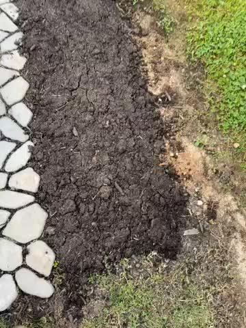 Soil³ Veggie Mix in a BigYellowBag - Customer Photo From Cristina Rubin