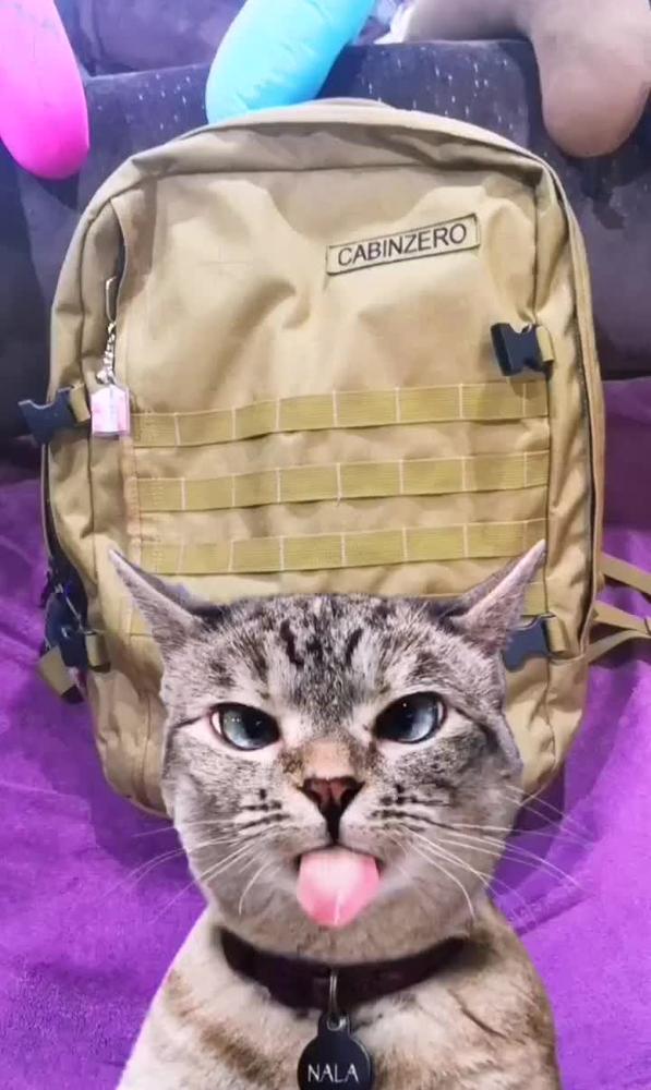 Military 44L - Customer Photo From Eliza G.