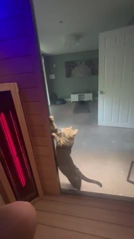 Sun Home Equinox™ 3-Person Full-Spectrum Infrared Sauna - Customer Photo From Heidi Howlan