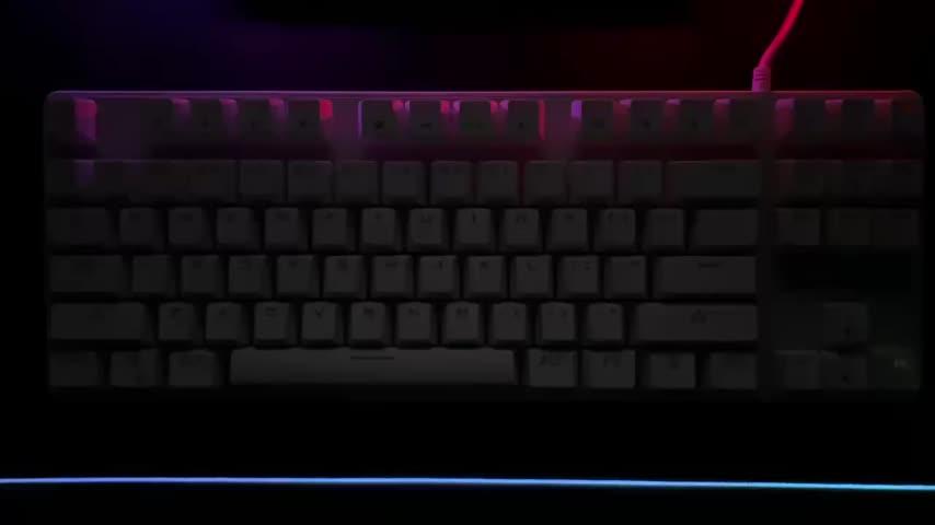 Cosmic Byte Firefly TKL Per Key RGB Mechanical Keyboard Upgraded with Swappable Switches - Customer Photo From Tushar