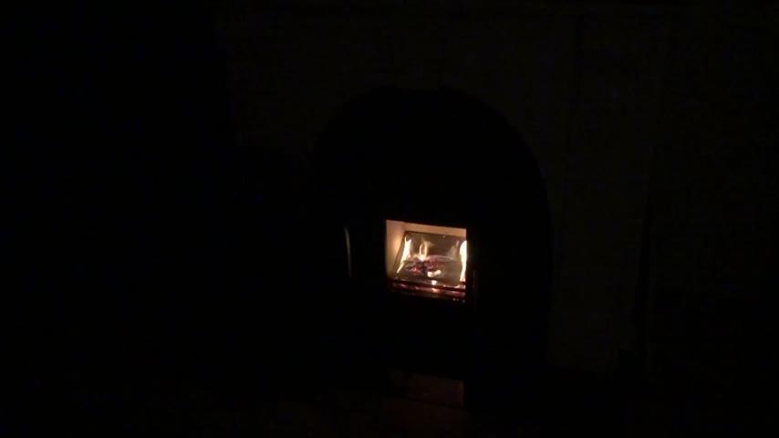 ECOFUEL™ Kiln Dried Kindling - Customer Photo From Amit Patki