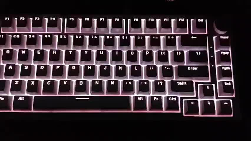 Cosmic Byte Phantom TKL Gasket Mechanical Wired Swappable Keyboard with PreLubed Switches - Customer Photo From Mandeep Sharma