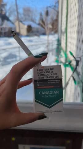 Canadian Menthol (King Size) - Pack (20 Cigarettes) - Customer Photo From Deanna Schmidt