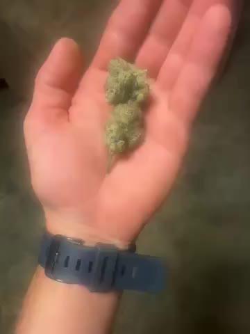 Bubblegum Gushers - 28 grams - Customer Photo From Doug Knief