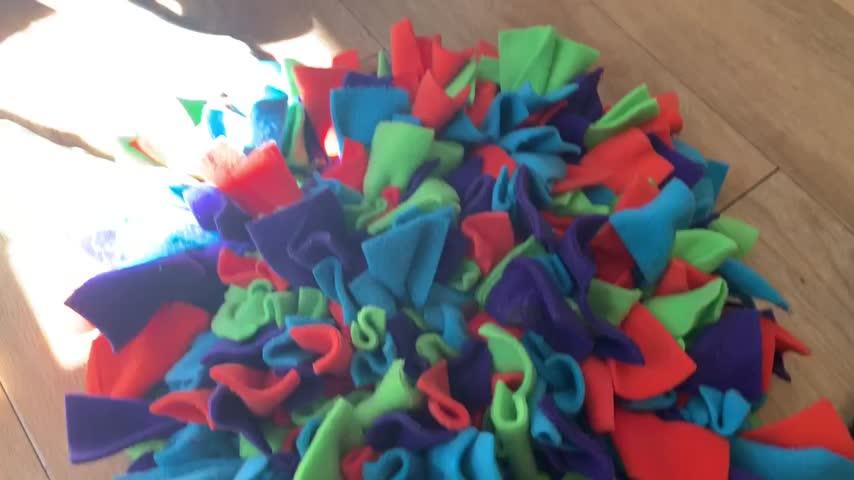 Ruffle Snuffle Scout - Customer Photo From Sue P.