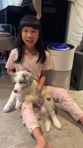 Sterra Paws™ True HEPA-14 Pet Air Purifier - Customer Photo From Lee Chieng F