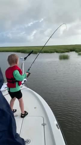 toadfish rods for sale