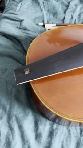 Lu-Mi Master 6 String Bass Viol after Meares - Customer Photo From Daniel Thomson