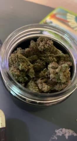 Welcome Sampler Pack - Exotic Flower - Customer Photo From Anonymous