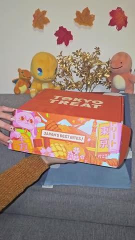 TokyoTreat November 2025 Box - Customer Photo From Lara Costantini