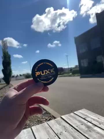 PUXX - Apple Mint - 6mg - Customer Photo From Brody Tod