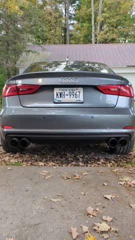 3" Cat Back, Quad Split Rear Exit, Valve Delete, T304 with Carbon Fiber Tips,  Audi S3 2015-2020 - Customer Photo From Alexander Birk