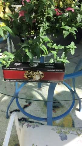 Rolled Gold Full (King Size) - Carton (200 Cigarettes) - Customer Photo From Janet Whitfield