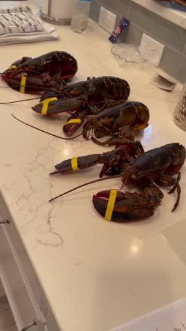 Live Maine Lobsters - Customer Photo From Vickie Good