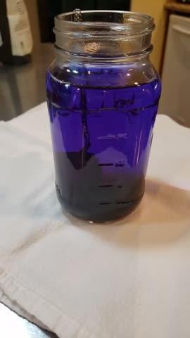 A Perfect Tea All Year Round - Blue Butterfly Pea Flower Tea! - NuvoH2O