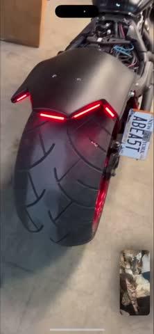 Blinker Genie - for Motorcycles (pair) - Customer Photo From Patricia Sternfeld